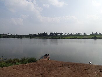 ಕೃಷ್ಣಾ ನದಿ ಜಲ ವಿವಾದ