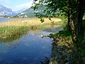 Lago di Annone - panoramio - Massimo Roselli (3).jpg