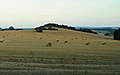 Kuppenlandschaft der „Pöhle“ bei Schwand