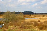 Landschaftsschutzgebiet Am Ottermeer