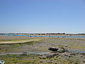 Langstone Harbour seen from Southsea, Hampshire during low tide.