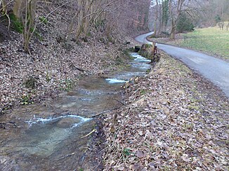 The Lauter in the Lappertal