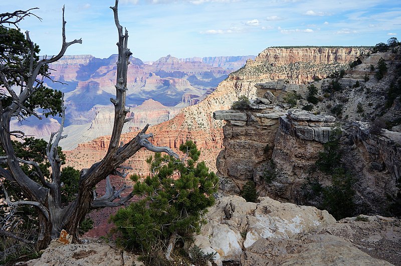 File:Le Grand Canyon du Colorado panorama en 2016.JPG