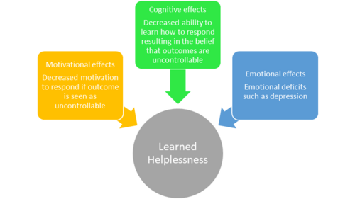 The Key Factors Of The Learned Helplessness