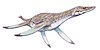 A life restoration of Leptocleidus