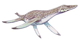 <i>Vectocleidus</i> Extinct genus of reptiles