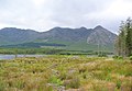 Lough Inagh, with Twelve Bens behind - geograph.org.uk - 199754.jpg