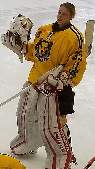 <span class="mw-page-title-main">Lovisa Selander</span> Swedish ice hockey player