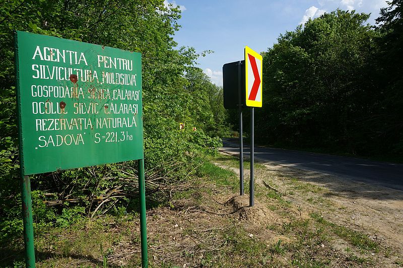 File:MD.CL.Sadova - Sadova nature reserve - may 2017 - 18.jpg