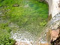 Spring near the wetland / Manantial cercano a la laguna