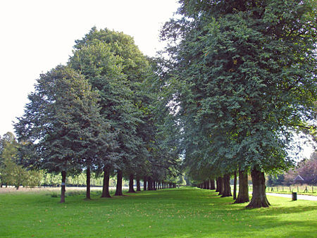 Marbury park