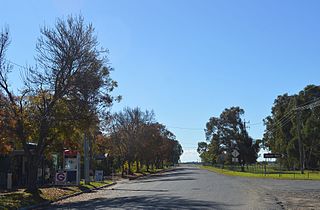 Maude, New South Wales Town in New South Wales, Australia