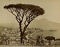 85 - Panorama da Posillipo.