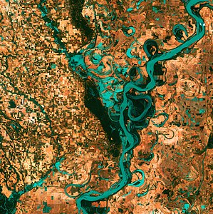 Small, blocky shapes of towns, fields, and pastures surround the graceful swirls and whorls of the Mississippi River. Original from NASA. Digitally enhanced by rawpixel