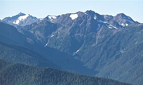 Mount Ferry from Hurricane Ridge.Mt. Pulitzer behind right, Meany and Queets to left