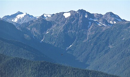 Mts. Ferry and Pulitzer from Hurricane Ridge Meany, Queets, Ferry, Pulitzer.jpg