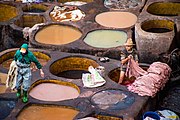 Men dyeing leather in the the old town of Fes, Morocco.jpg