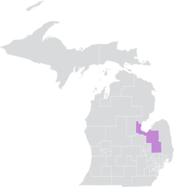 Michigan Senato Bölgesi 31 (2010) .png