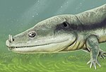 Microposaurus averyi. Microposaurus averyi.jpg