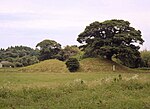 Mochida Kofun Cluster Mochida No.15 Ishifunezuka.jpg