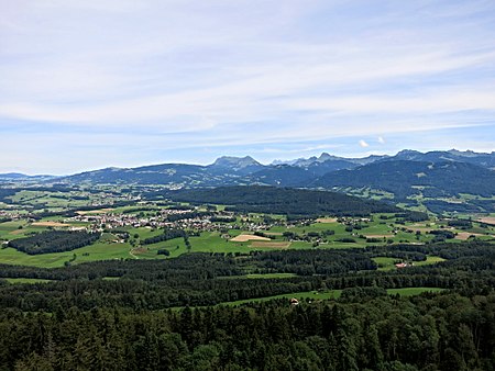 Mont Pèlerin Fernsehturm O