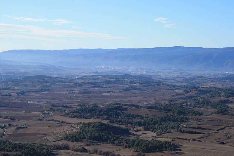 File:Muntanyes de prades i Montblanc vist des del Tallat.JPG