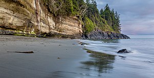 Image of a beach that backs onto a cliff face. On top of the cliff is a forest