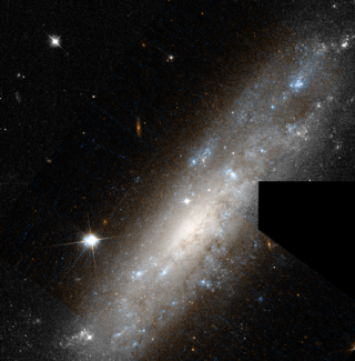 <span class="mw-page-title-main">NGC 1003</span> Spiral galaxy in the constellation Perseus