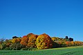 Vorschaubild der Version vom 18:51, 13. Mai 2018