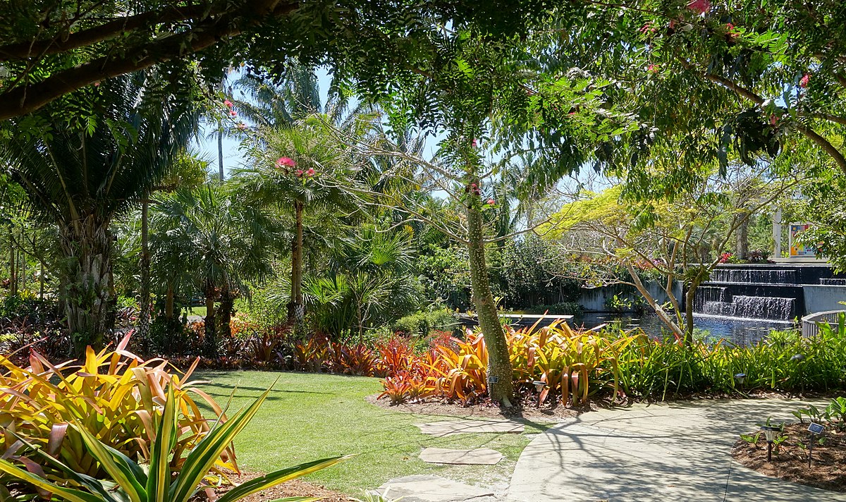Ботанический сад в Каракасе