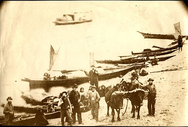 Canoes with settlers and Native Americans at Mukilteo Beach, c. 1861–62