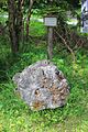 Deutsch: Musterstein einesWandkalk im Naturpark Hohe Wand