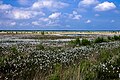 Vorschaubild der Version vom 20:46, 27. Mai 2016