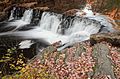 * Nomination Waterfall, New York Botanical Garden. --King of Hearts 03:50, 18 September 2016 (UTC) * Promotion Good quality. --Aeou 05:49, 18 September 2016 (UTC)