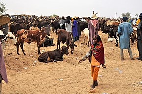 Niger, N'Gonga (4), livestock market.jpg