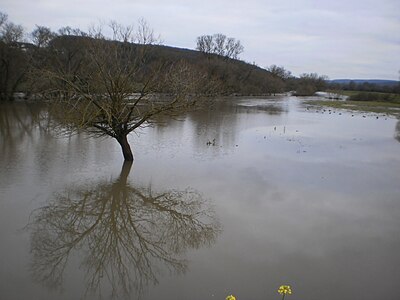 Floods of river Lahn, Germany on 2015-12-02.