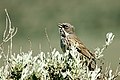 Eastern Oregon