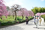 Thumbnail for Nagoya Agricultural Center