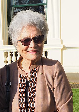 <span class="mw-page-title-main">Nouria Salehi</span> Afghan-Australian nuclear physicist, biophysicist and humanitarian