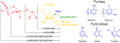 Versiyona biçûkkirî yê 00:10, 5 çiriya pêşîn 2011