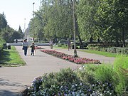 Olexandriya - Soborna square.JPG