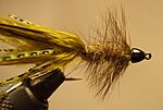 Woolly Bugger - Wikipedia