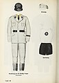 SS uniforms (Organisationsbuch der NSDAP 1936)