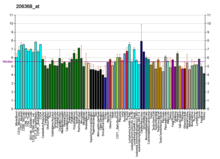 Padrão de expressão gênica do gene CPLX2 descrito em uma tabela gráfica digital