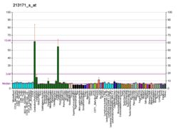 PBB GE MMP24 213171 s at fs.png