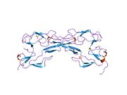 1ext: دومِـین خارج‌سلولی گیرنده فاکتور نکروز تومور ۵۵ کیلو دالتونی. کریستالیزه‌شده در پی‌اچ ۳/۷ در پی ۲۱ ۲۱ ۲۱.
