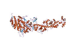 PDB 1kk7 EBI.jpg