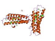 PDB 1qkr EBI.jpg