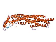 PDB 1qoy EBI.jpg