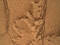 "Pahrump Hills" оголення каміння на Марсі краєвид з «К'юріосіті» (23 вересня, 2014).